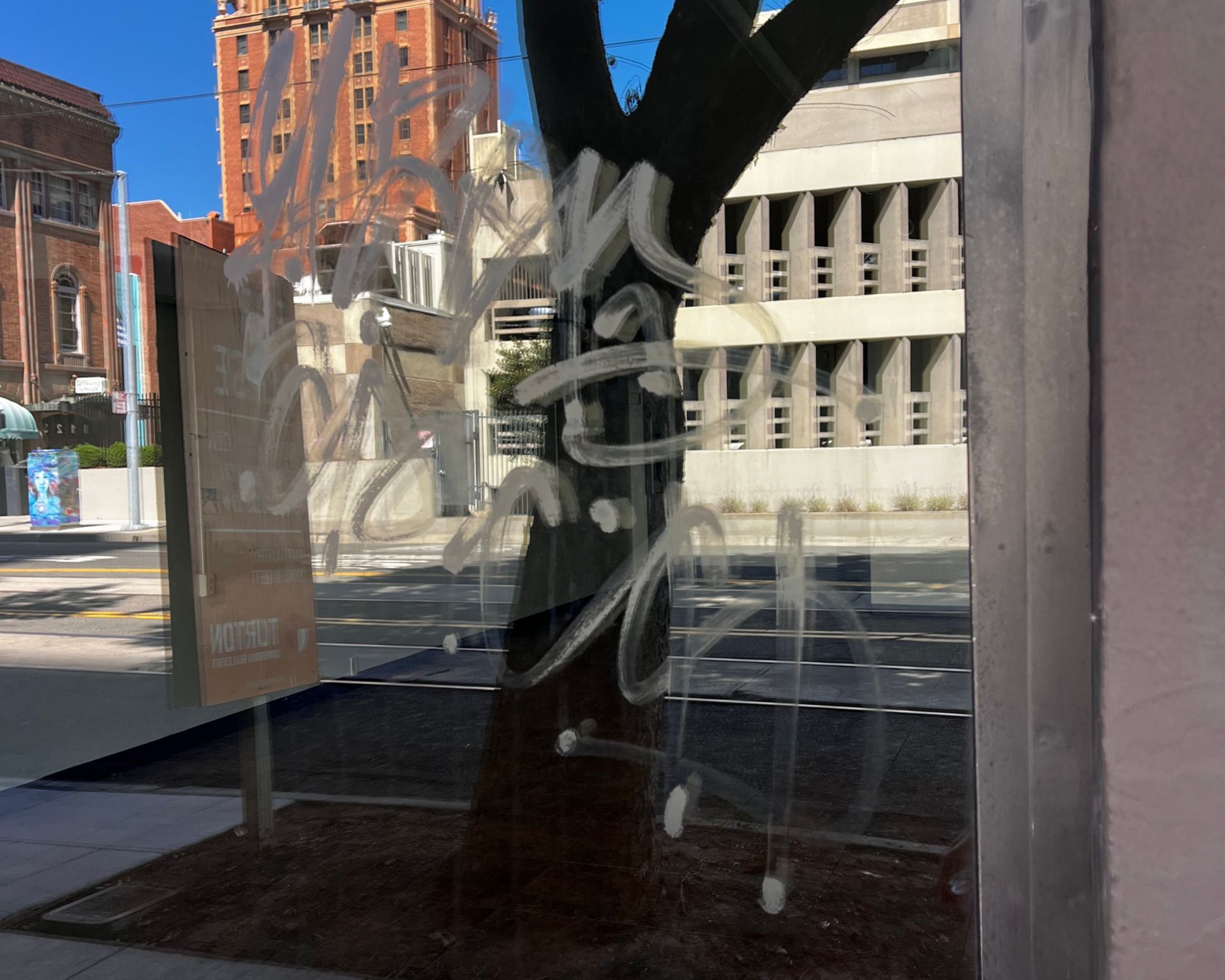 Graffiti on window with city scene reflected. Tree trunk in frame.