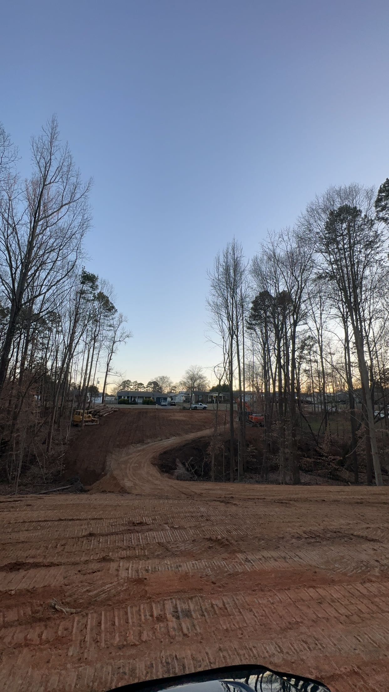 A path carved through red dirt leading toward a clearing between tall trees under a clear blue sky.