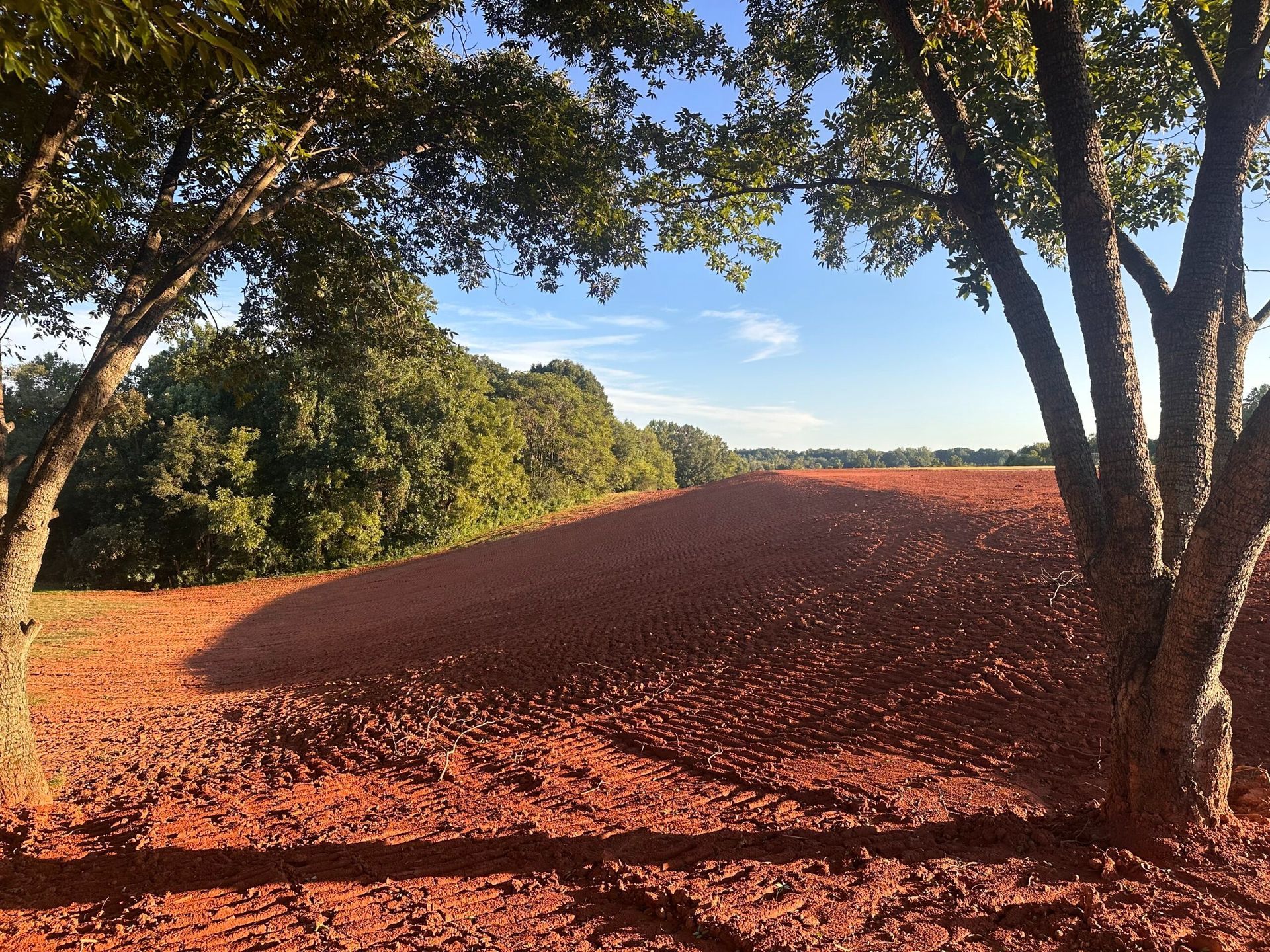 A freshly plowed, rich red dirt field framed by large, leafy trees under a clear blue sky.