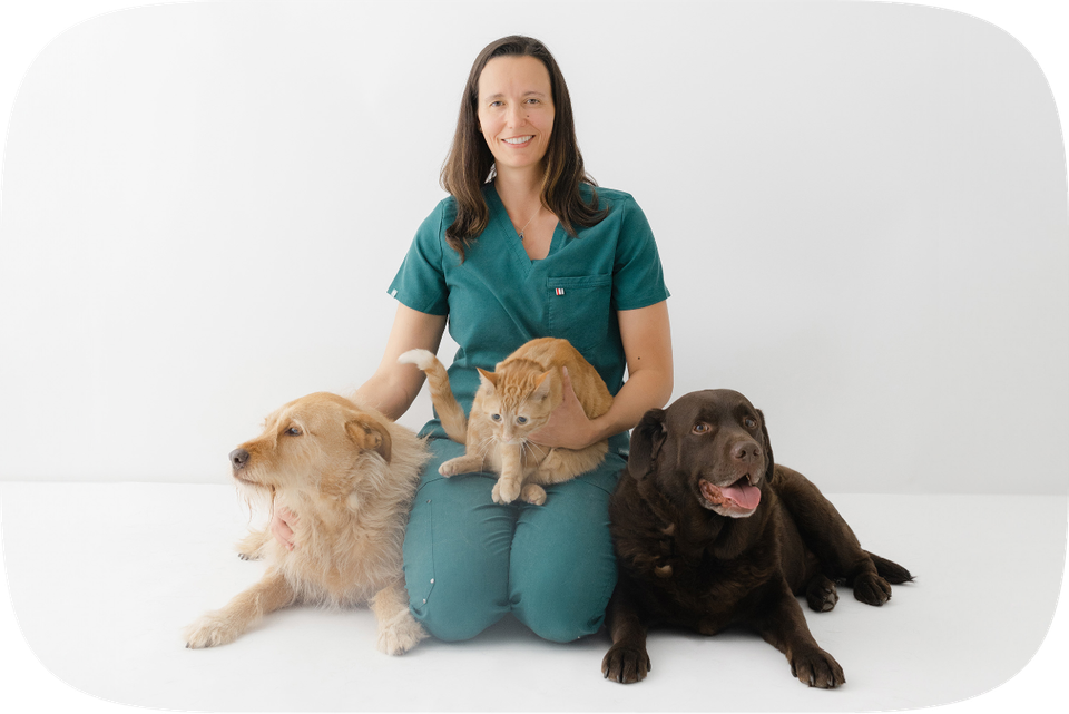 Dr. Aylin Atilla poses with her three pets, Waffle the orange cat, Beaver the chocolate lab, and Leroy the wiry haired dog