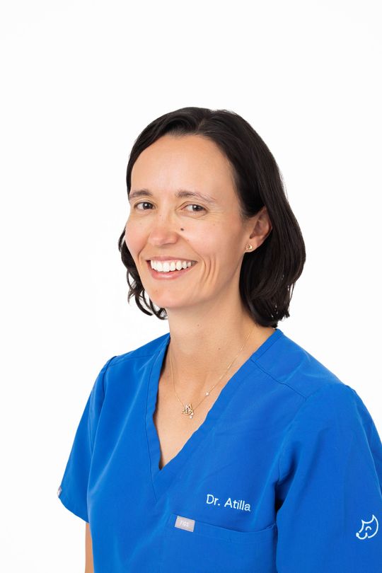 Dr. Aylin Atilla