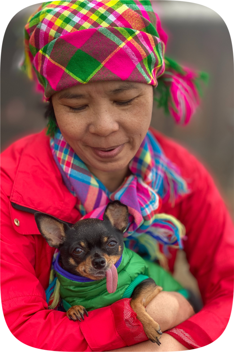 An older Asian woman dressed in a colorful jacket and checkered scarves holds her little happy dog that's wearing a tiny green puffer coat and has his tongue sticking out