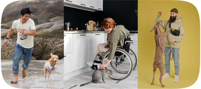 An Asian man runs with his dog on the shore, a redheaded woman in a wheelchair leans over to pet her cat, and a tall, white, bearded man holds up a treat for his dog that is standing on hind legs