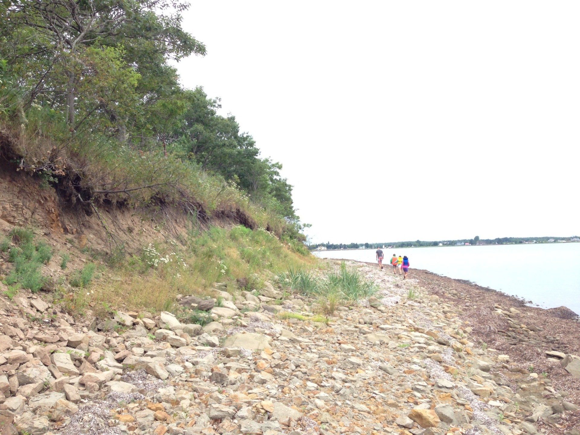 L'Île-au-Crâne | Skull Island