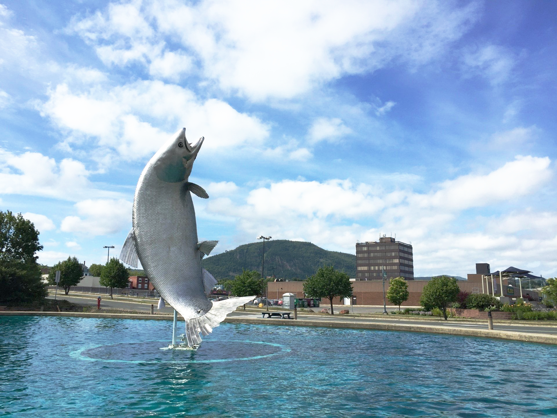 Le saumon géant de Campbellton.
