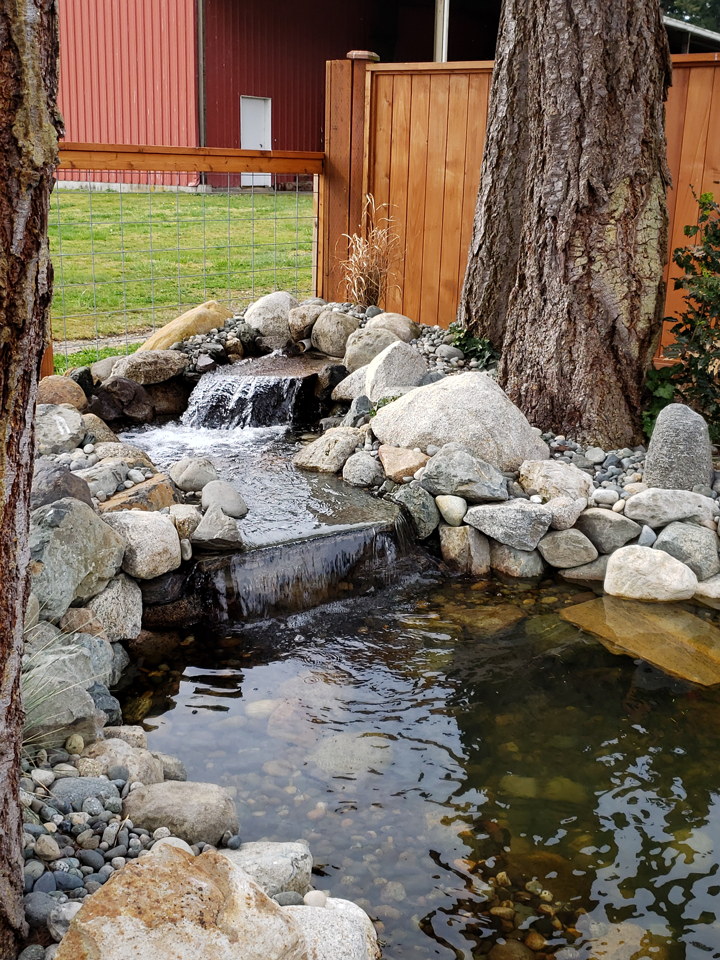 a pond with a waterfall in the middle of it
