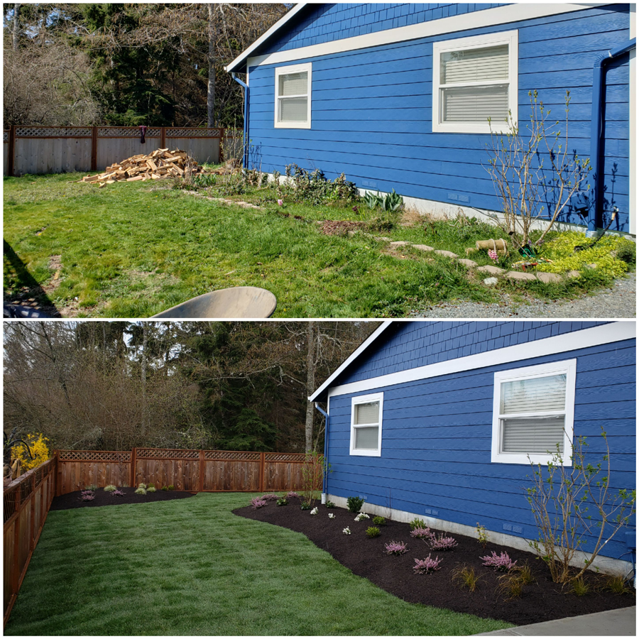 a before and after picture of a blue house with a fence and a lush green yard .