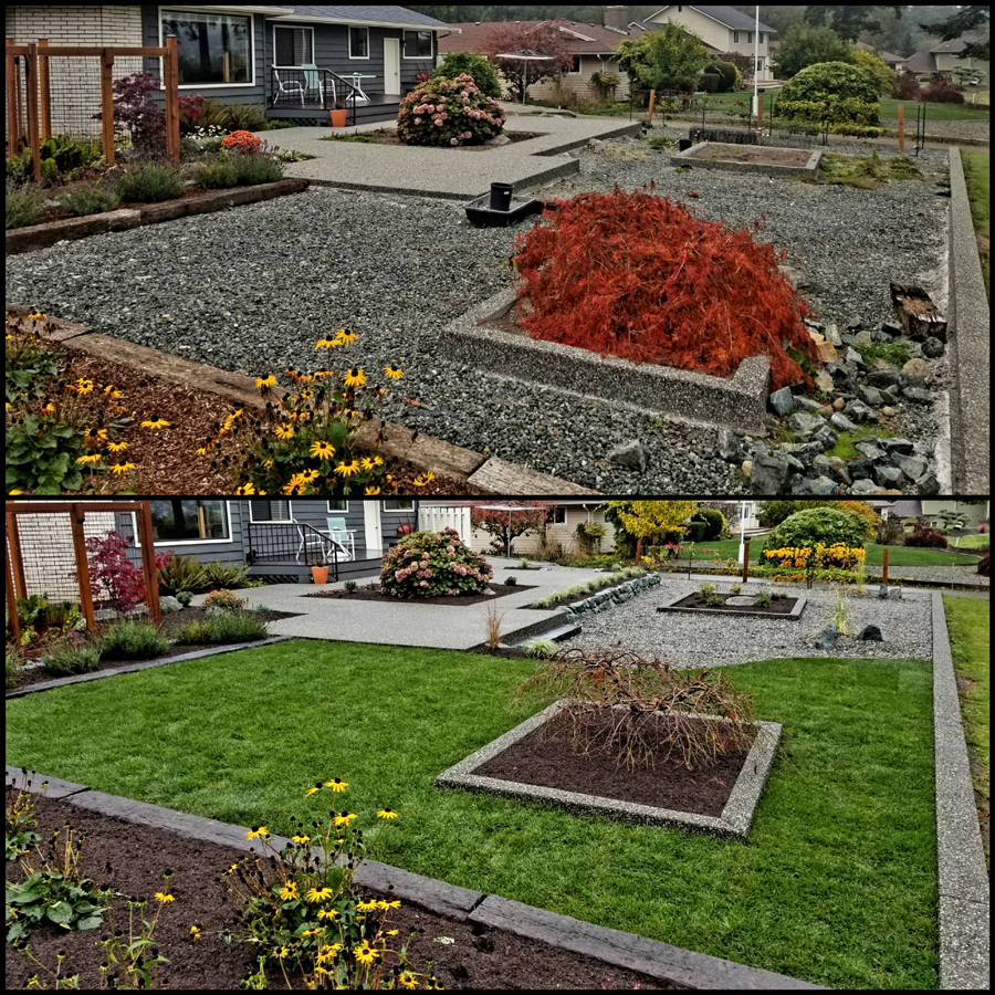 a collage of three pictures of a garden with a house in the background