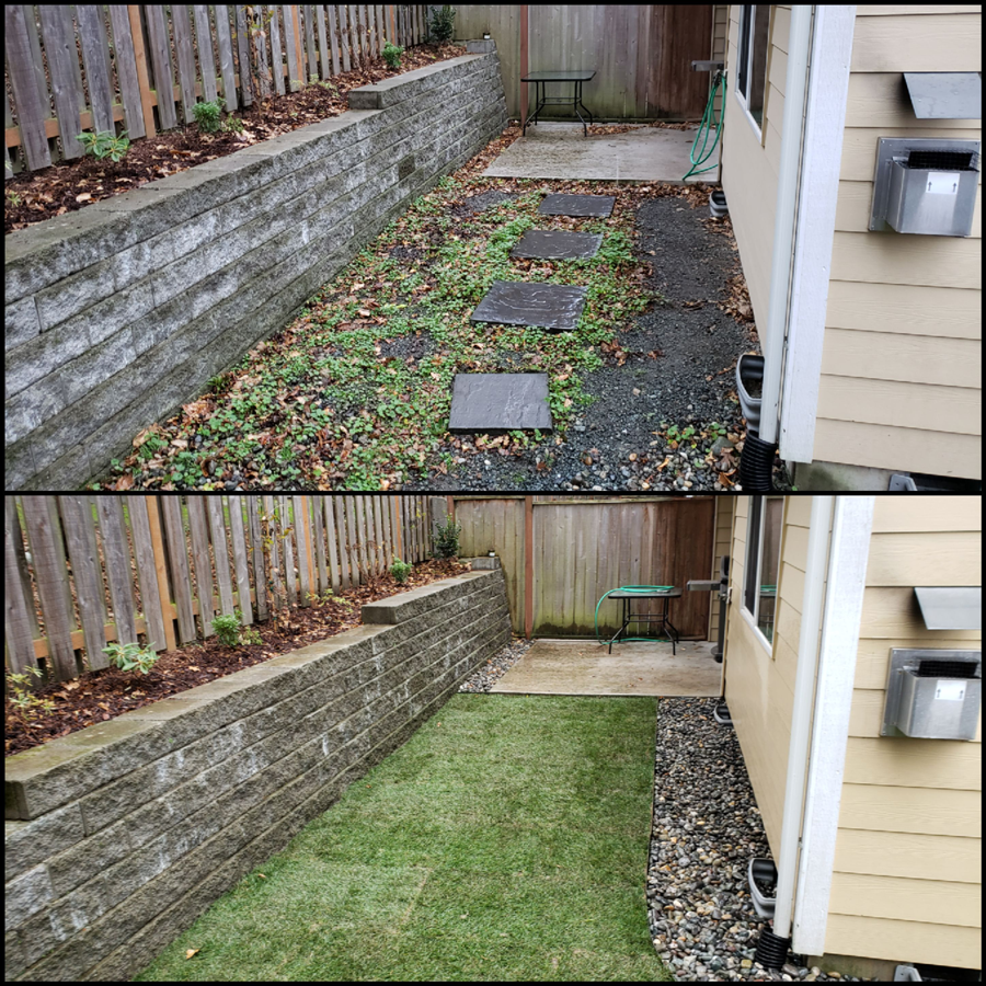 a before and after picture of a lawn in front of a house .