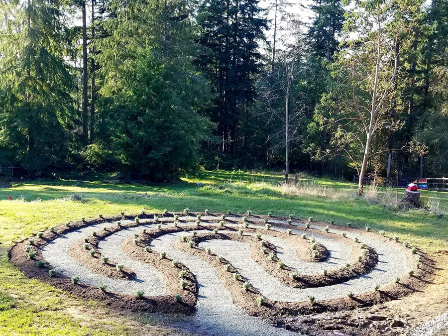 a labyrinth in the middle of a field with trees in the background .