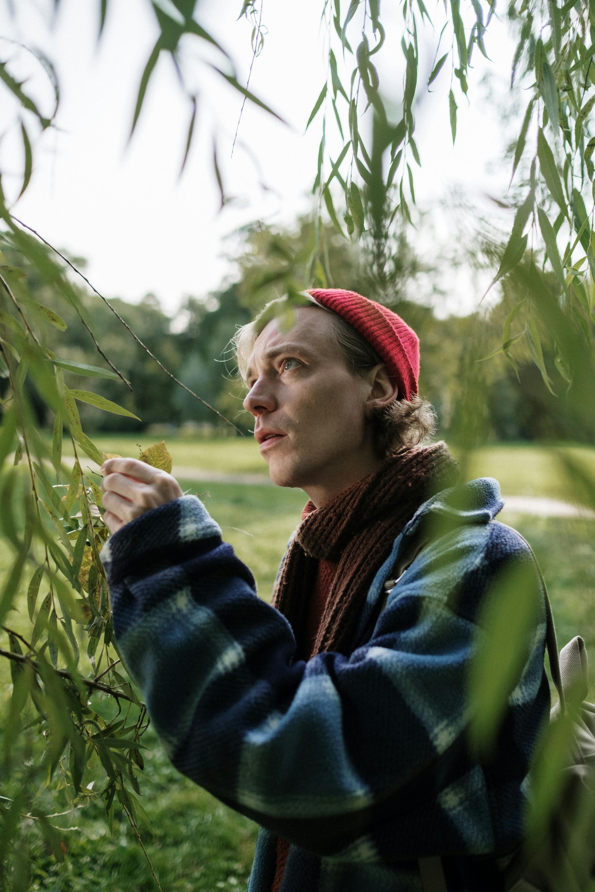 Man in red hat and blue coat examines leaf under a willow tree.