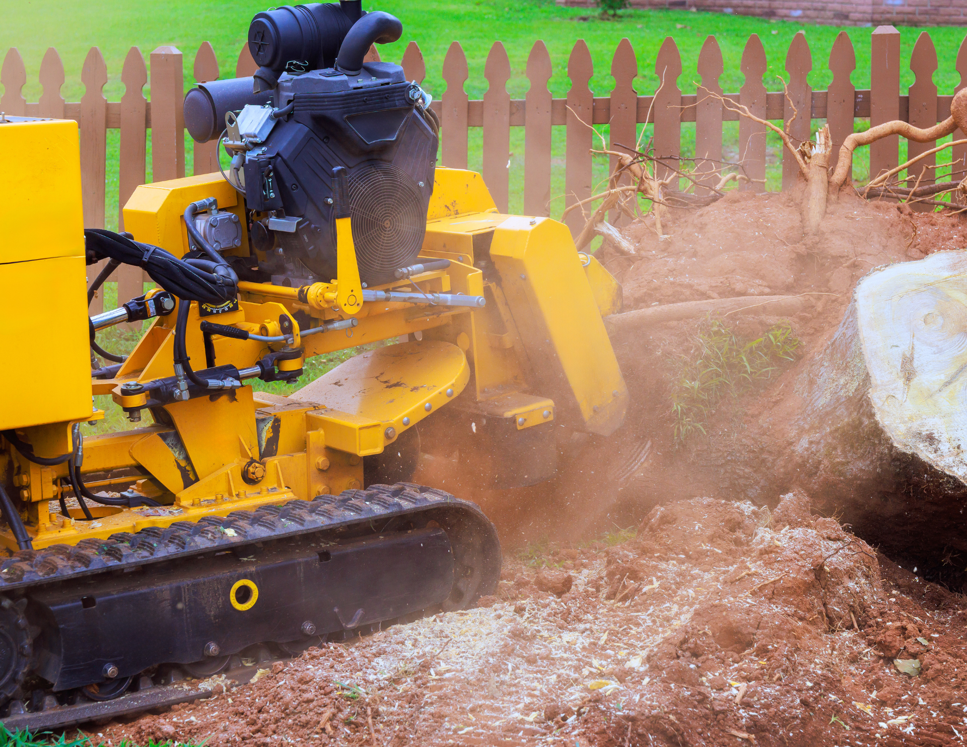 Yellow stump grinder grinding a tree stump in a yard, wood chips flying.