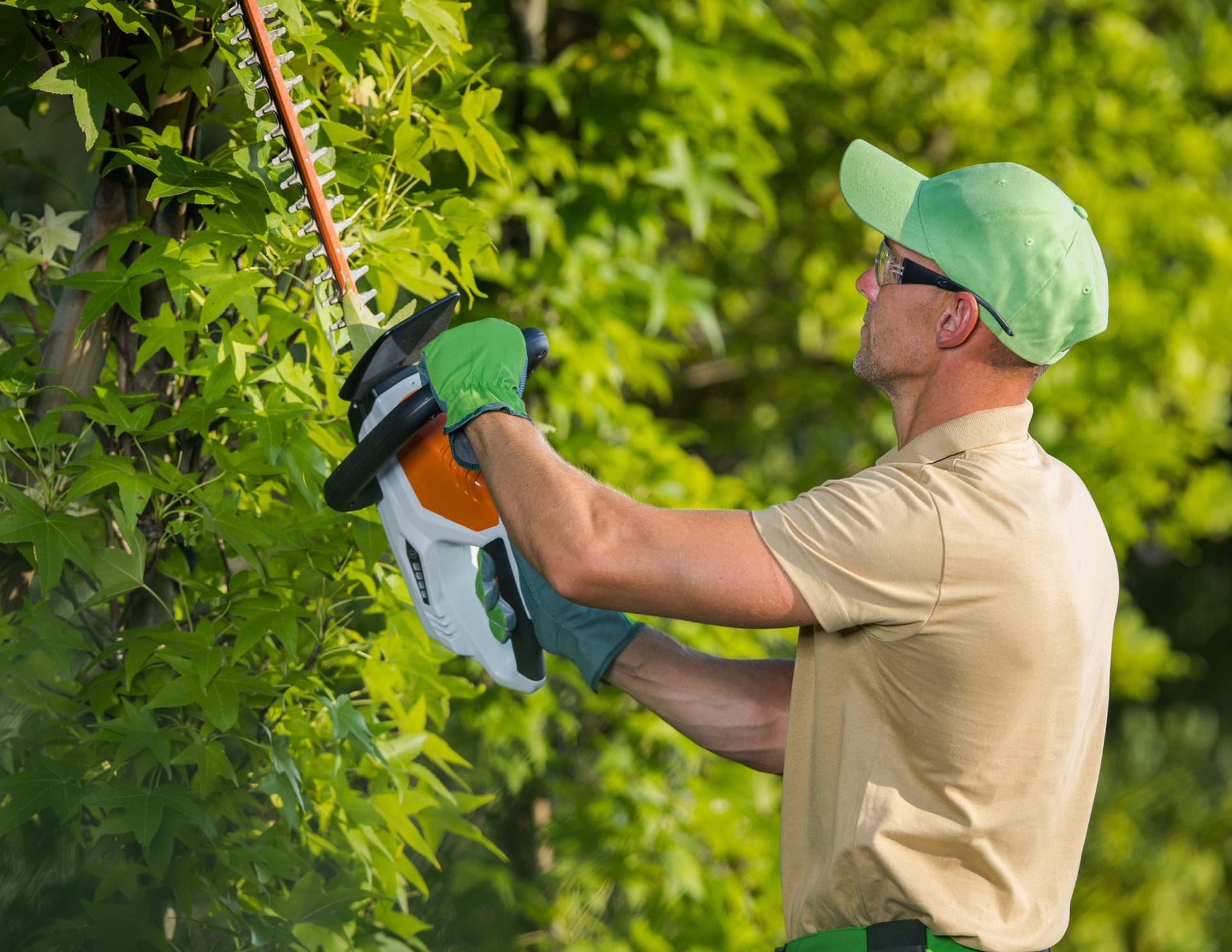 Man trimming a green hedge with an electric hedge trimmer, wearing safety gear outdoors.