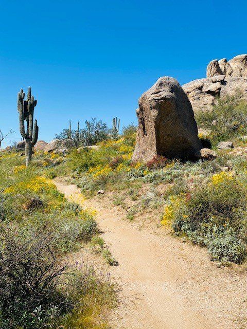 Desert β Prescott Valley, AZ β Hi Country Rec-V-Center