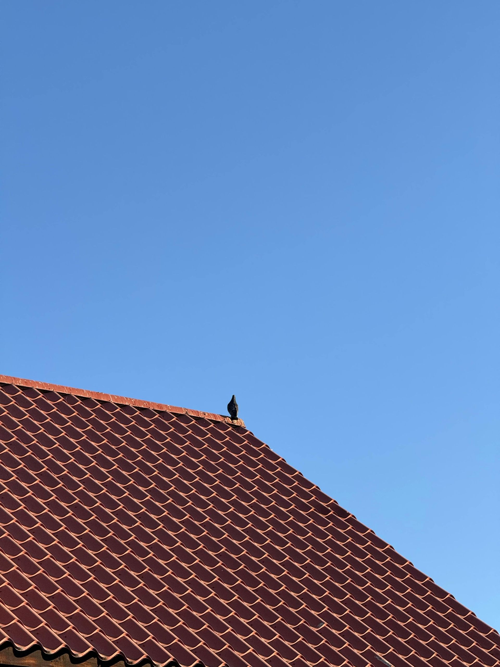 Two construction workers wearing safety vests and hard hats install solar panels on a tiled residential roof.