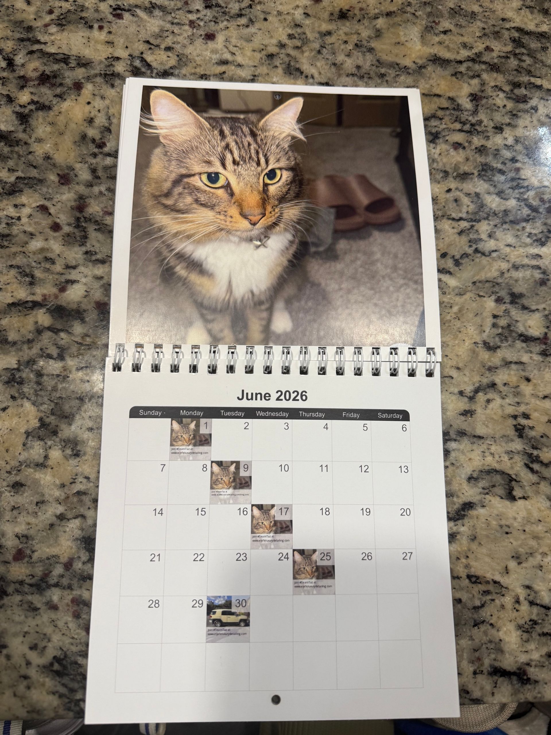 2026 El Jefe Calendar