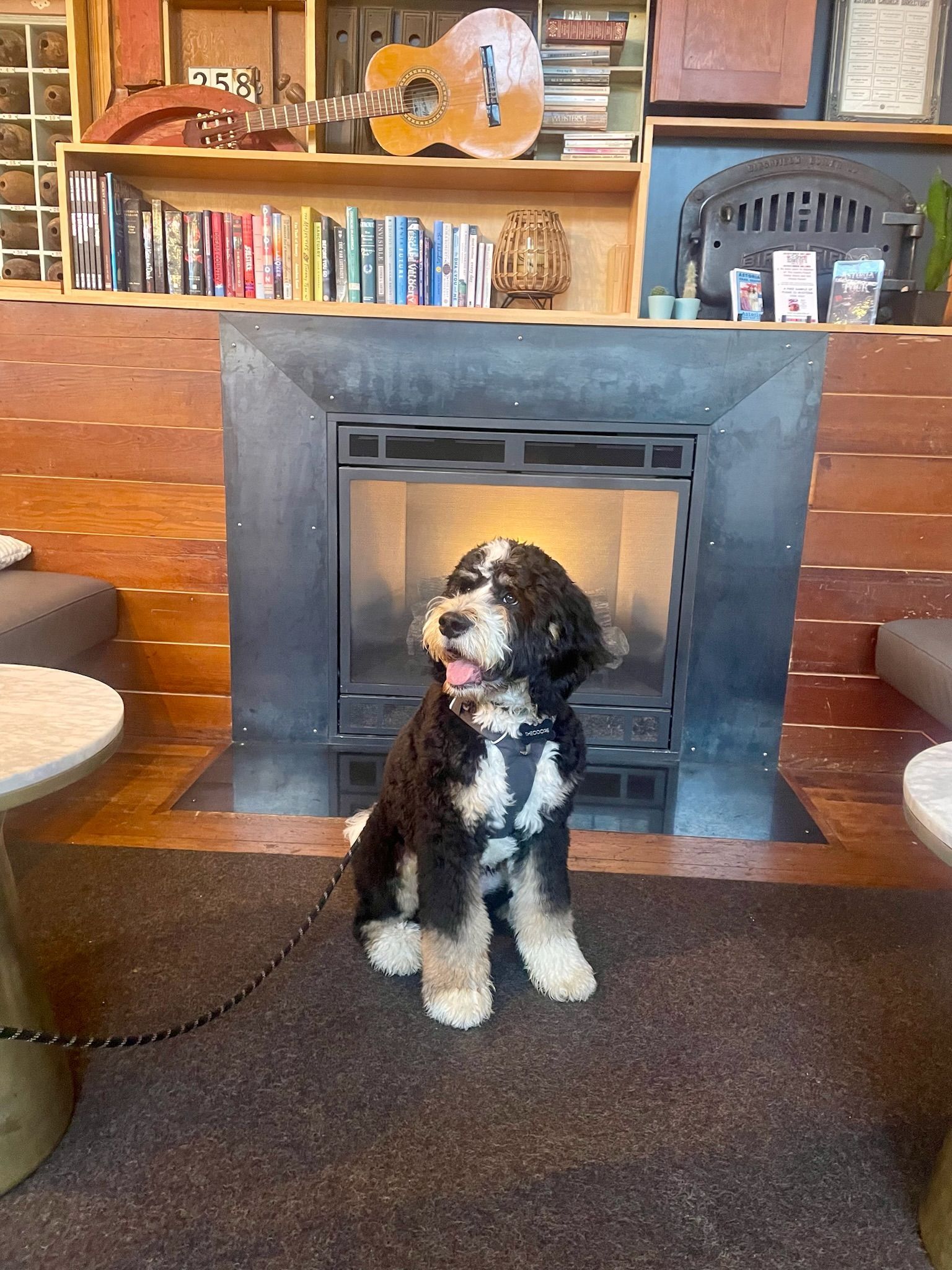 A dog is sitting in front of a fireplace in a living room.