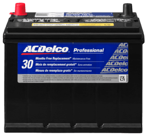 A black acdelco professional battery with a red cap