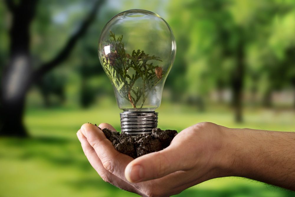 Hand holding lightbulb with plant inside, set against a blurred green background, representing sustainability.