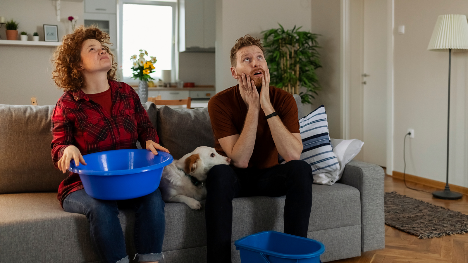 Couple sitting on a couch looking up at ceiling for leaks