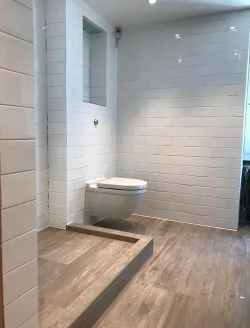 Une salle de bain avec WC et douche à l'italienne.