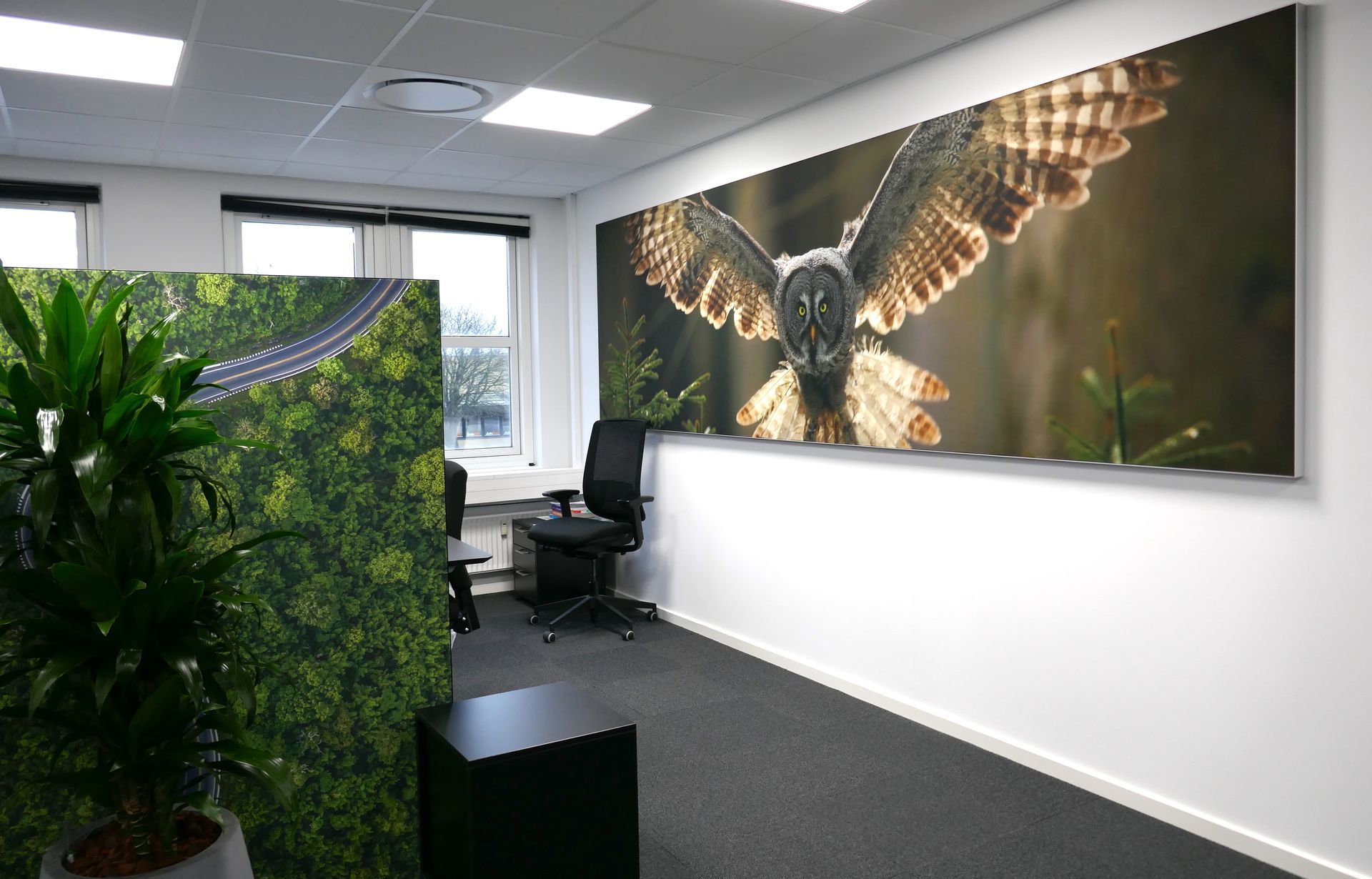 Akustikbillede_ARTHENTIC_ugle_bordskaerm_skov