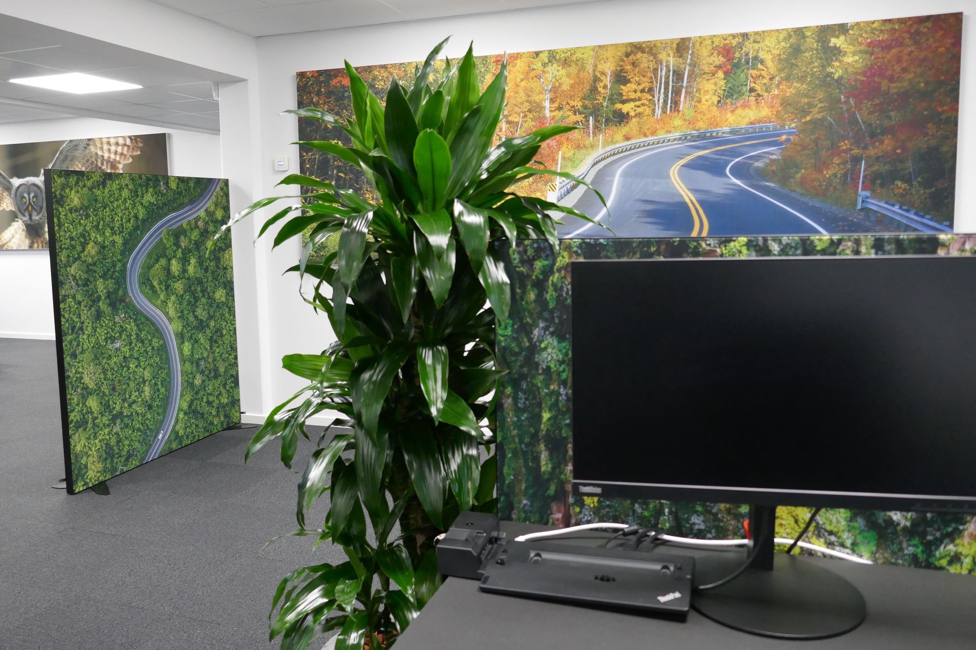 Akustikbillede_ARTHENTIC_vej_bordskaerm_skov