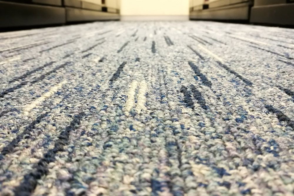 Wool Carpet in Port Macquarie Ultimate Flooring Co