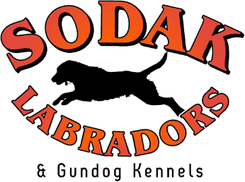 SoDak Labradors & Gundog Kennels logo