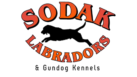 SoDak Labradors & Gundog Kennels  logo