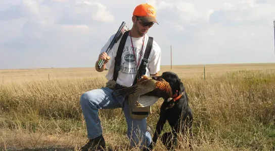 Hunter in orange hat, holding a shotgun, with a dog in a field.