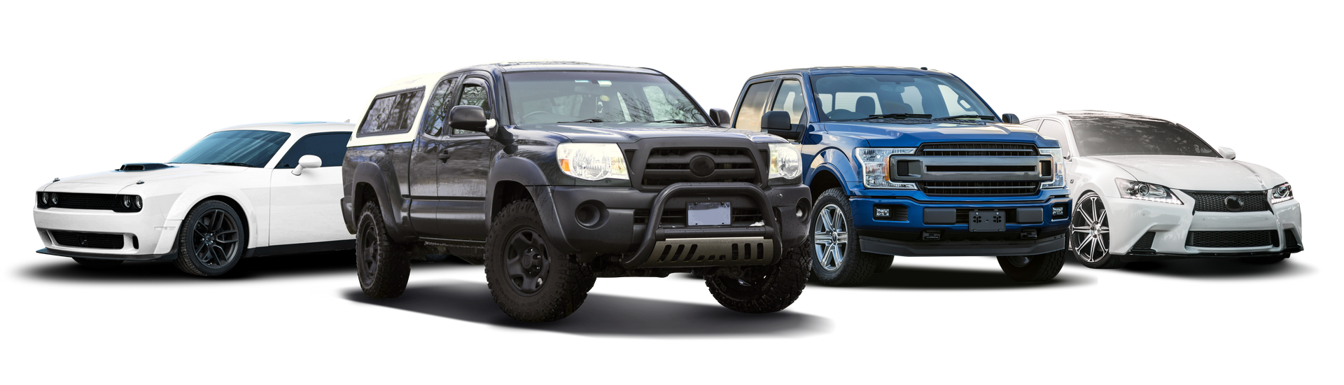 Four pickup trucks lined up front-facing, in white, black, blue, and white on a white background
