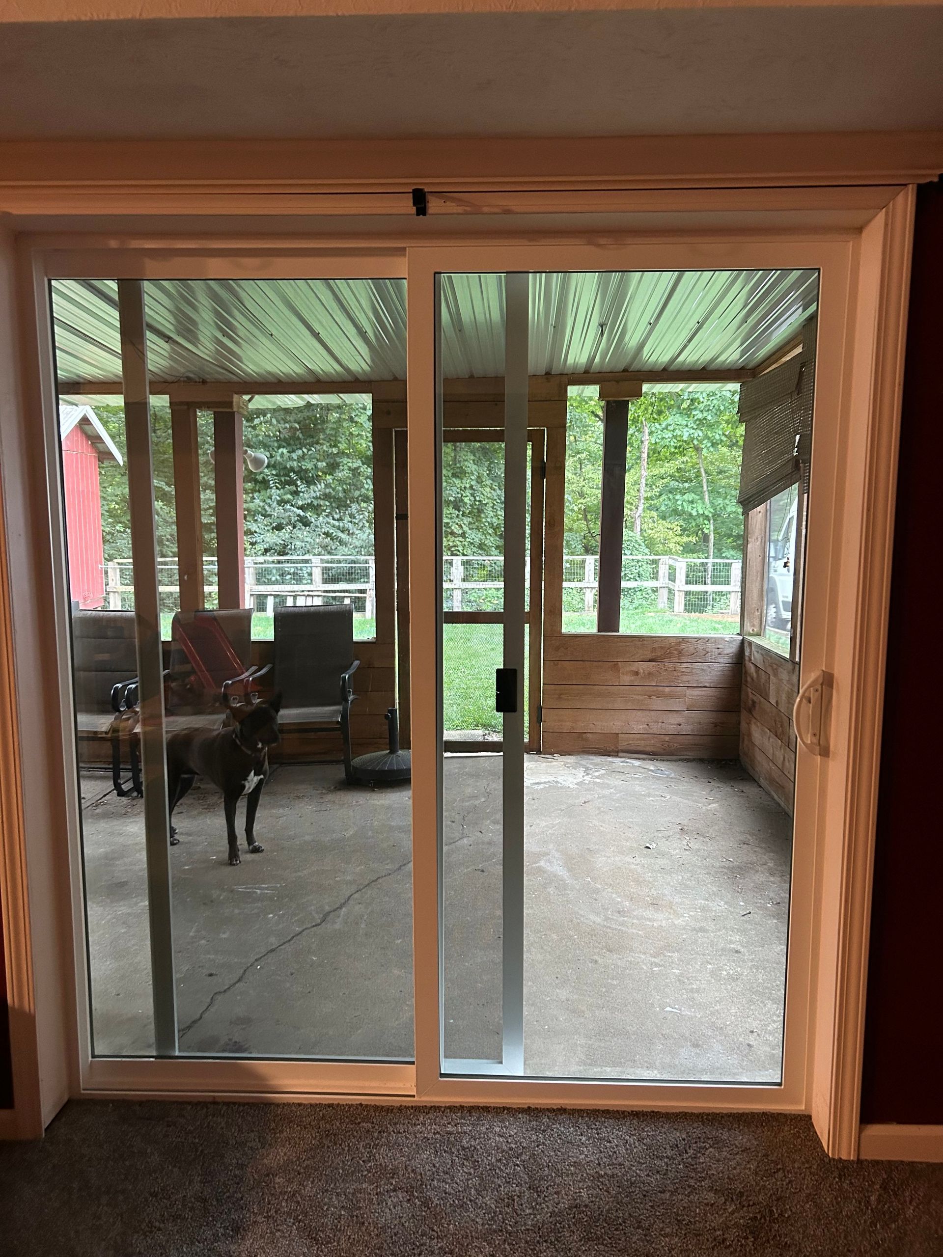 Sliding glass door opens to a screened-in porch with a dog. Interior has carpet and white trim.