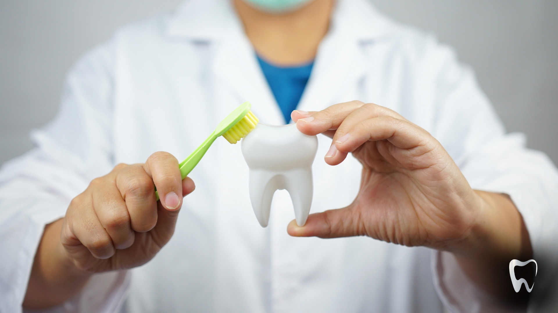 A dentist is holding a tooth and a toothbrush in his hands.