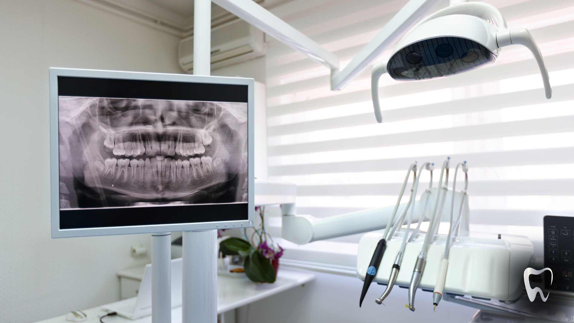 A dental office with a monitor showing an x-ray of a person 's teeth.