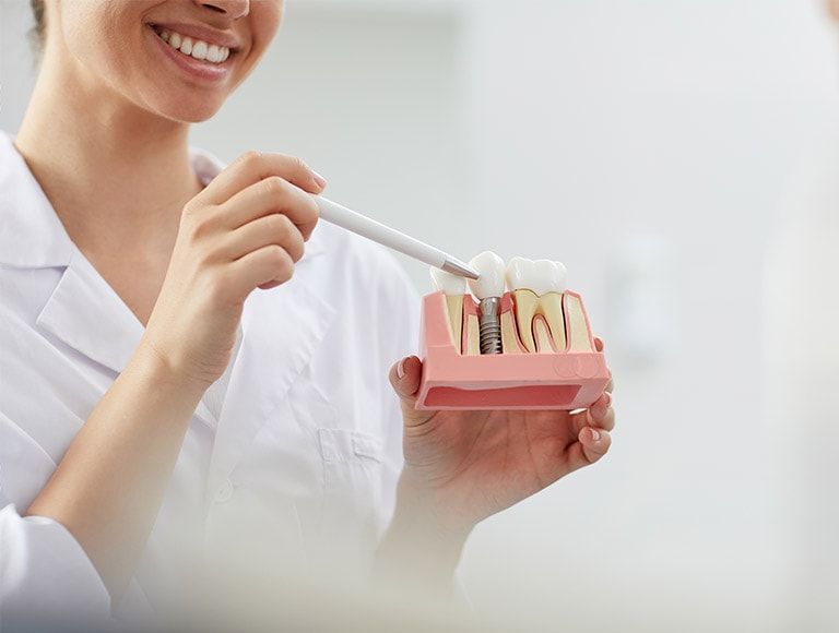 A dentist is holding a model of teeth with a pen in her hand.