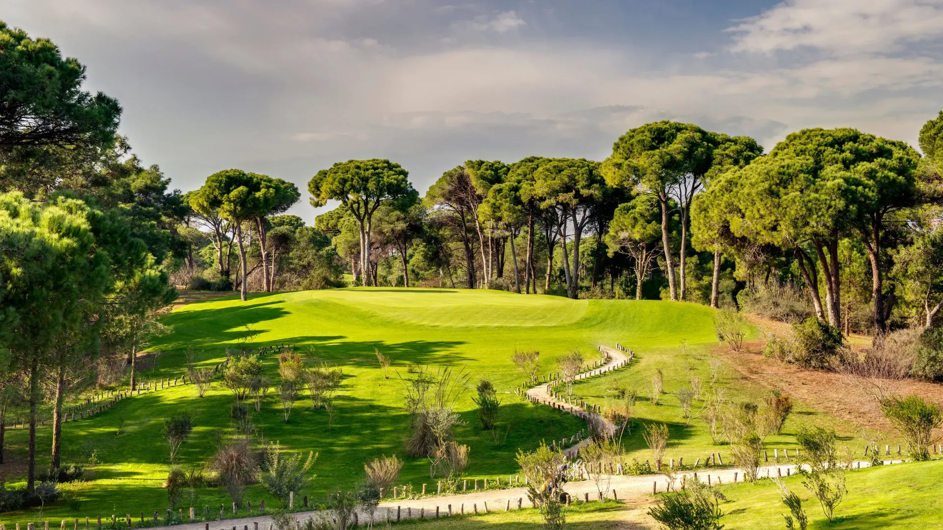 Terrain de golf verdoyant avec des arbres sous un ciel nuageux.