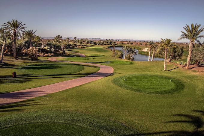 Coup de départ bordé de palmiers au Fairmont Royal Palm