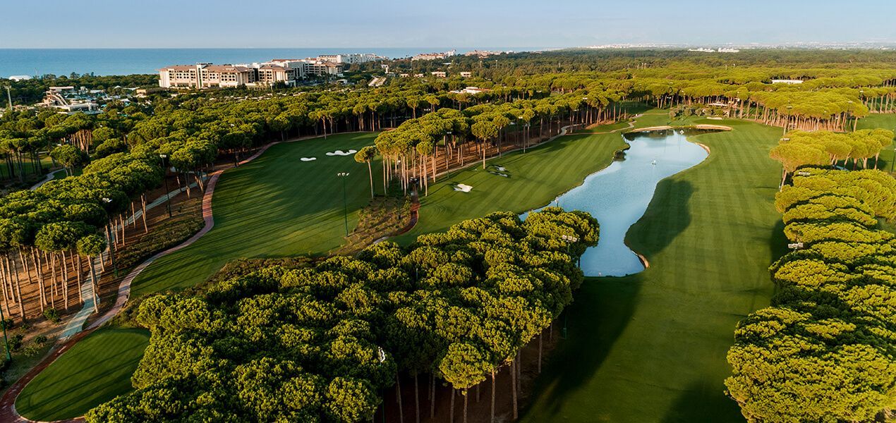 Coup de départ bordé de palmiers au Fairmont Royal Palm