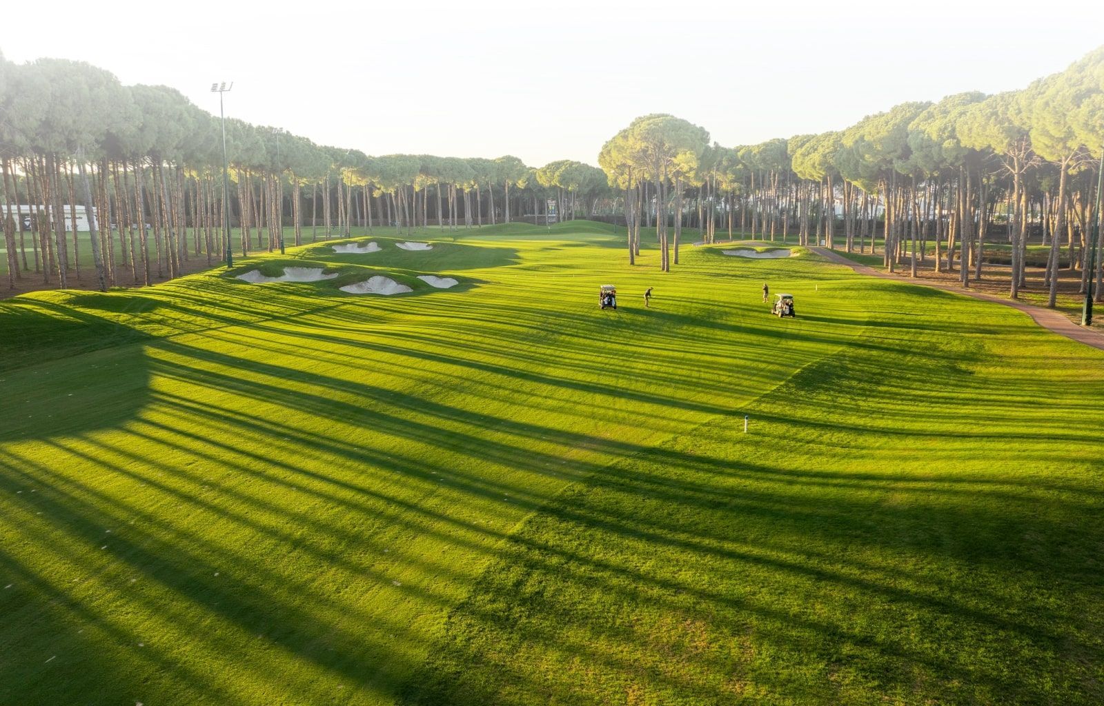 Terrain de golf aux longues ombres projetées par de grands arbres. On aperçoit de l'herbe verte, des bunkers et des golfeurs.