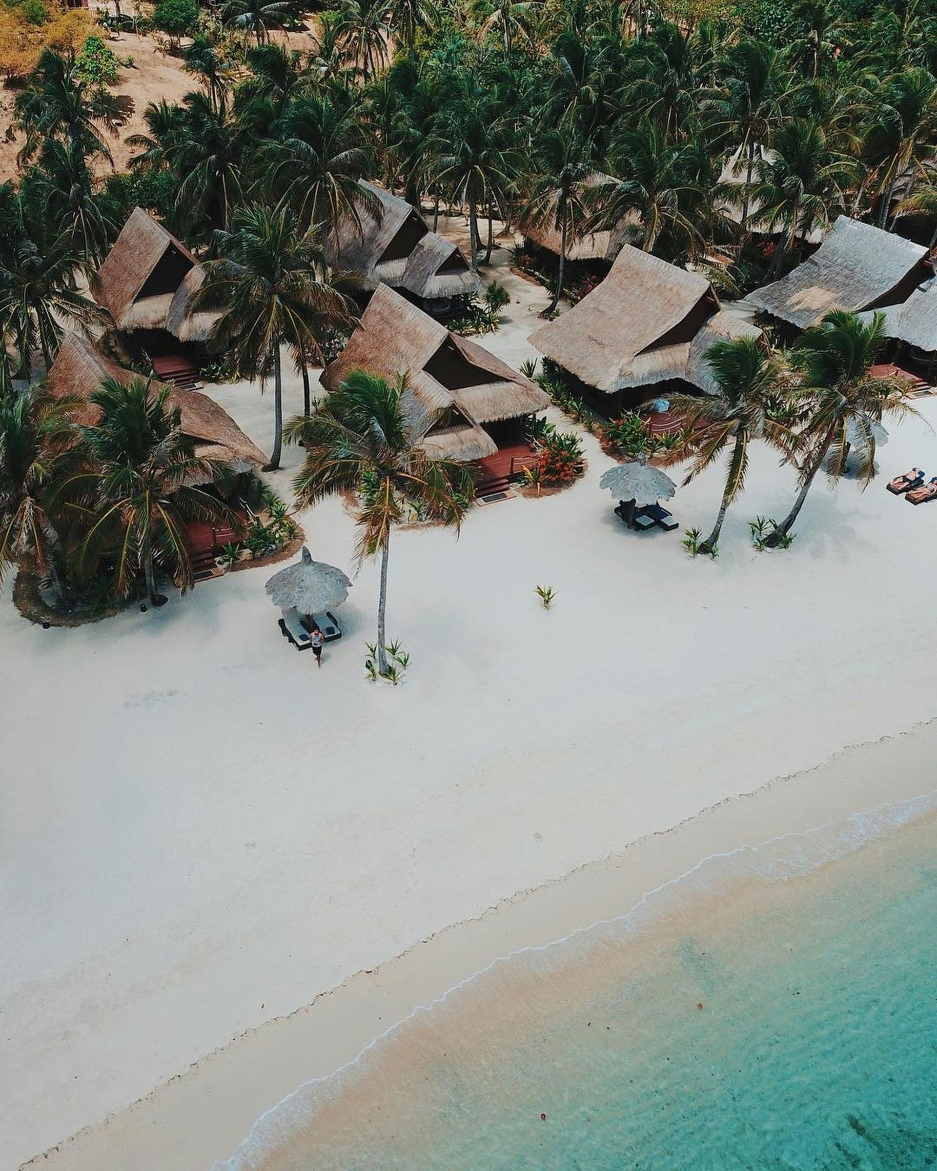 Cabanes de plage sous les palmiers, sur du sable blanc, avec une eau turquoise.