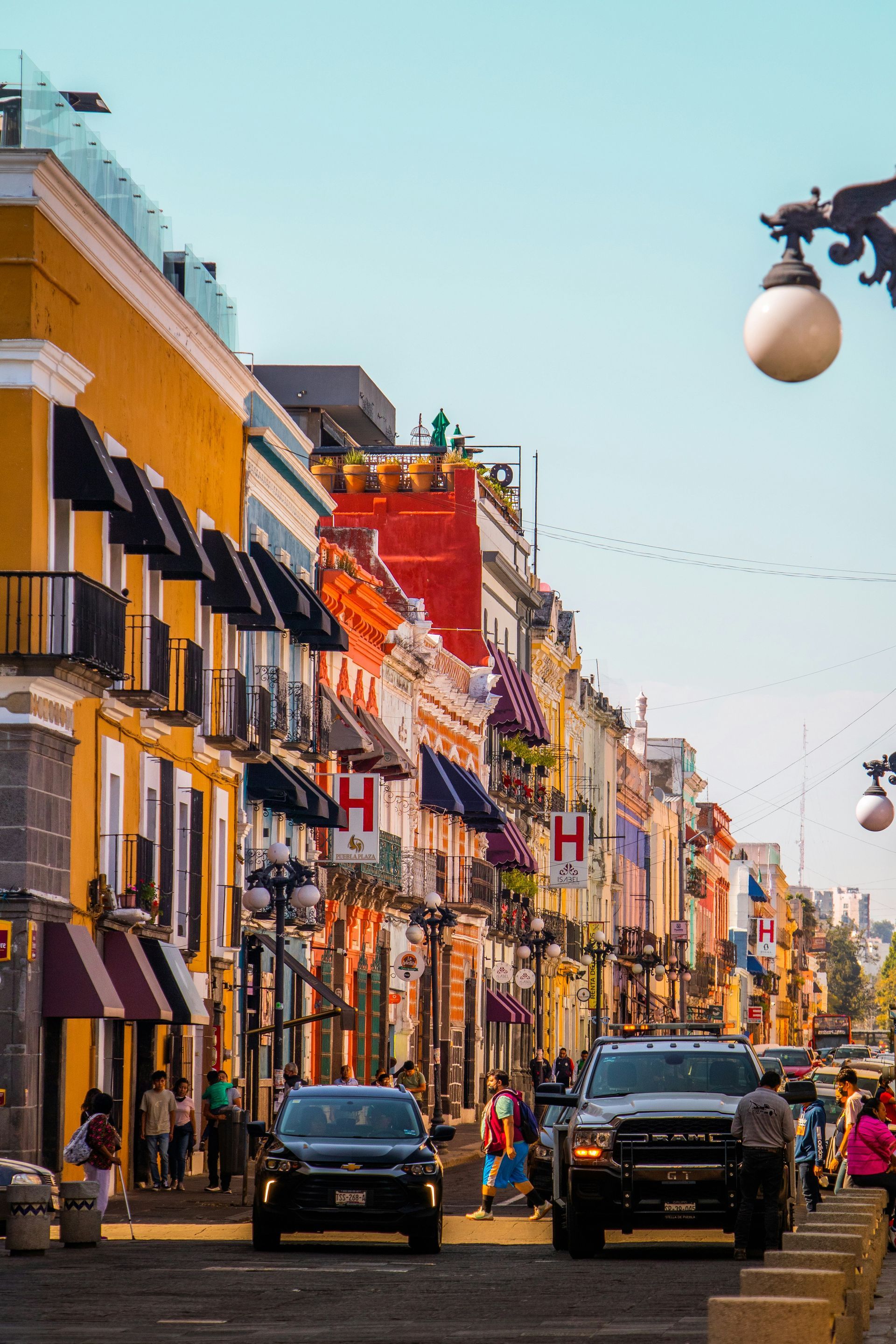 Vignoble autour de Cape Town