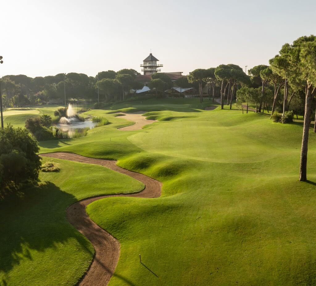 Panneau « GOLF » vert brillant contre un ciel sombre.