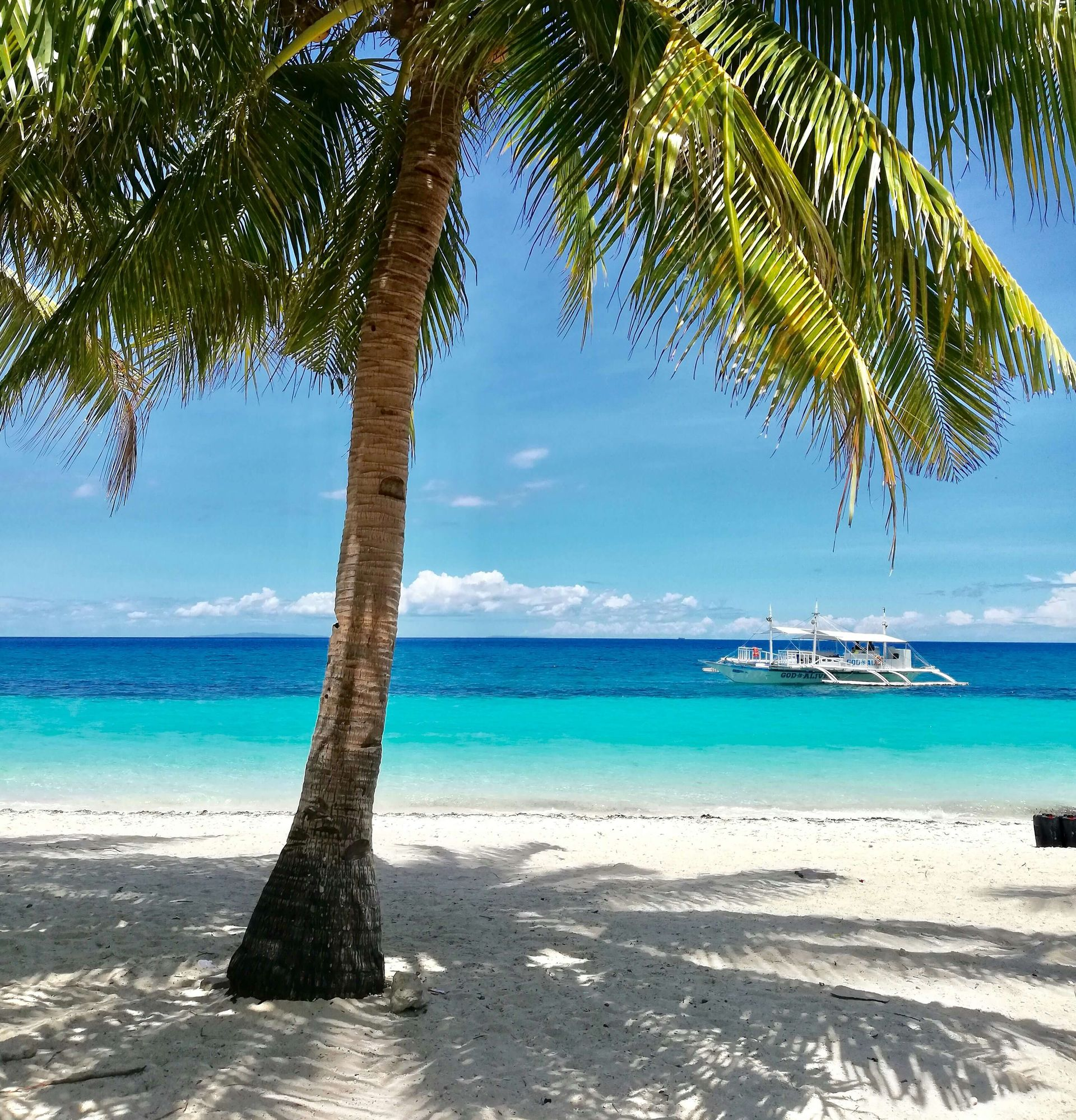 Palmier sur une plage de sable blanc, eau turquoise et bateau sous un ciel bleu.