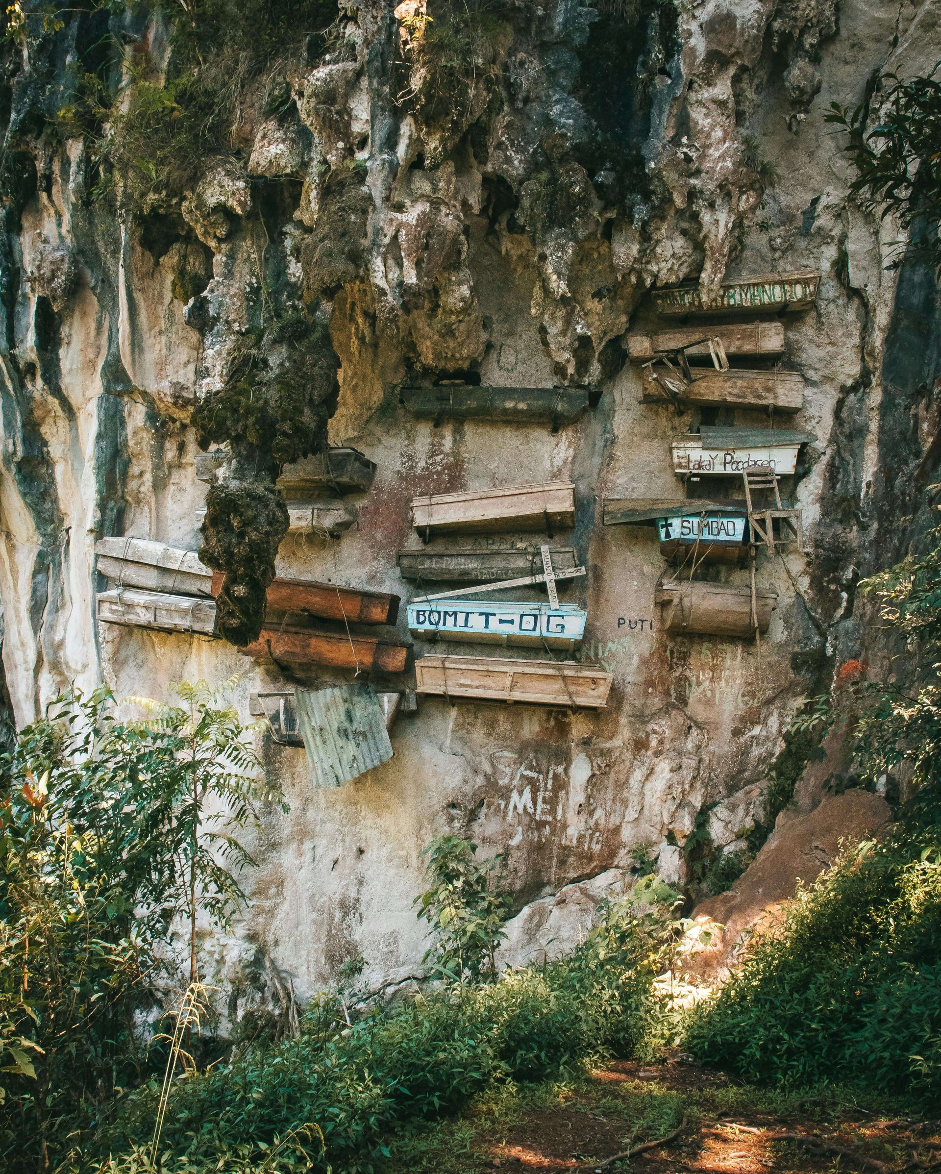 Des cercueils en bois fixés à une paroi rocheuse dans un cadre verdoyant et luxuriant.