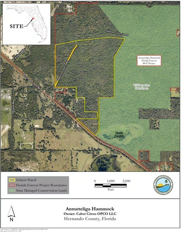 On Tuesday, the Florida Cabinet gave preliminary approval for the state’s environmental agency to acquire over 300 acres of land from Cabot Citrus Farms, a luxury golf developer previously involved in a public lands dispute