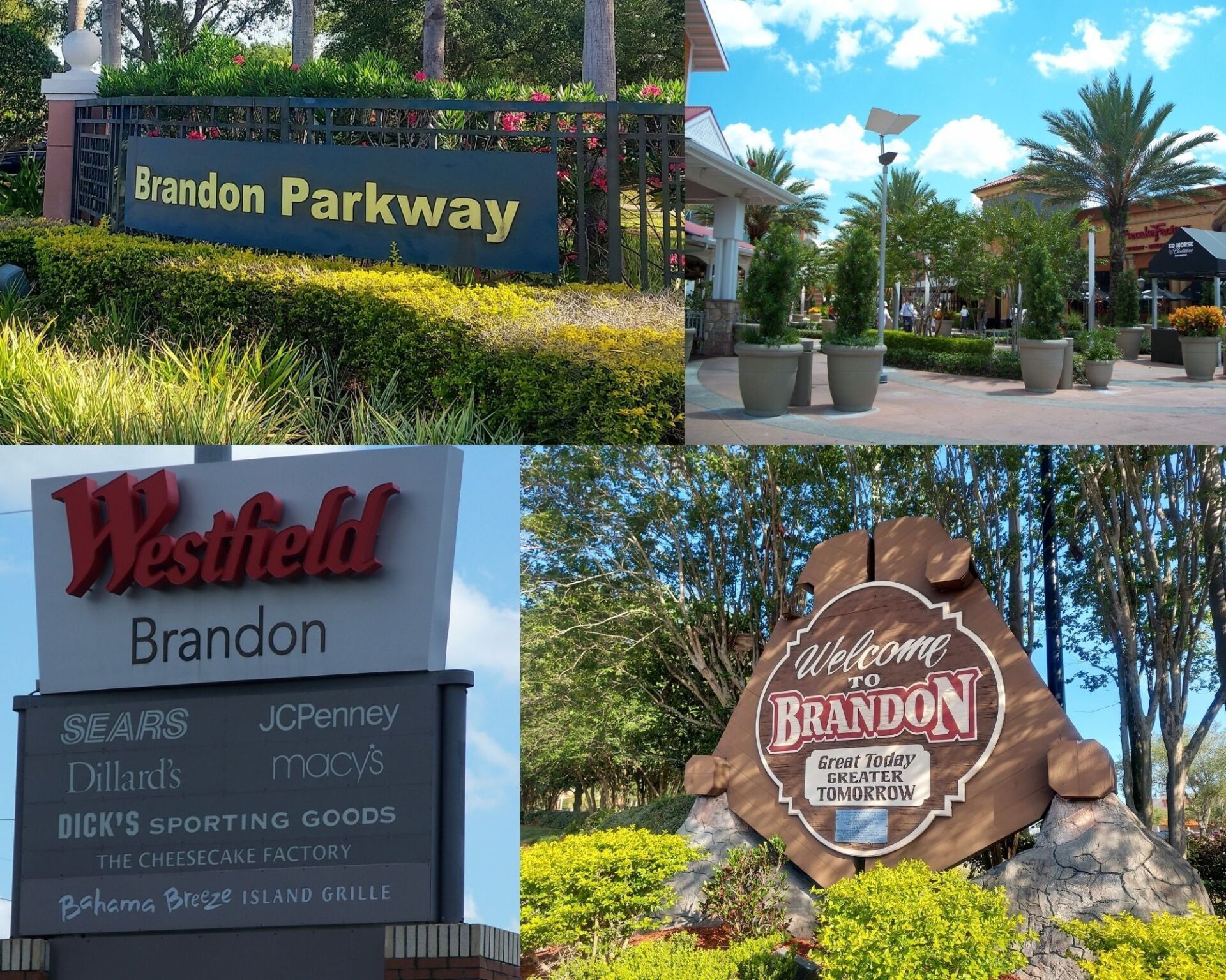 Brandon, FL Photo Collage