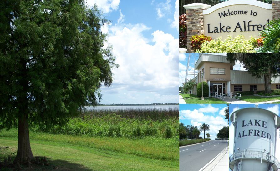 Lake Alfred Photo Collage