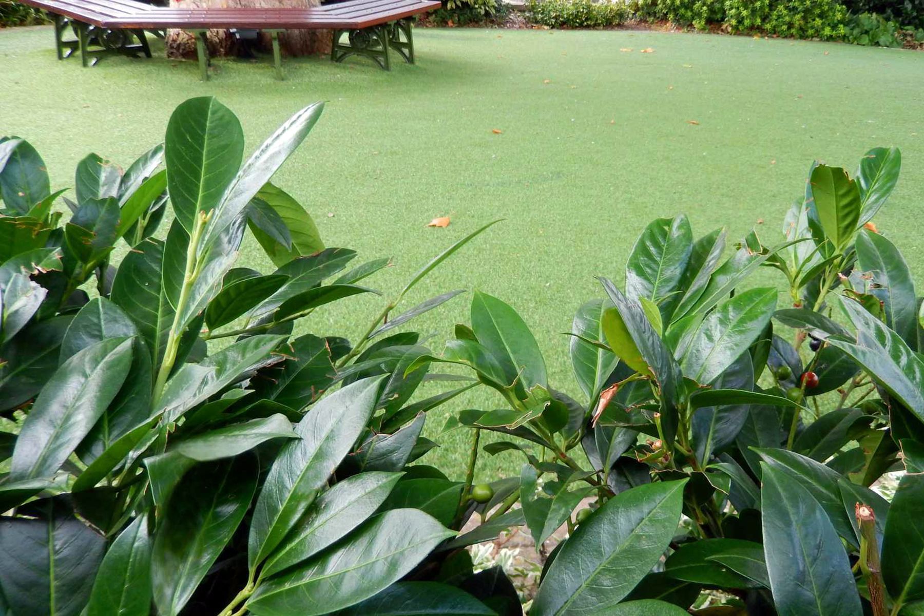 esempi di posa per prati sintetici