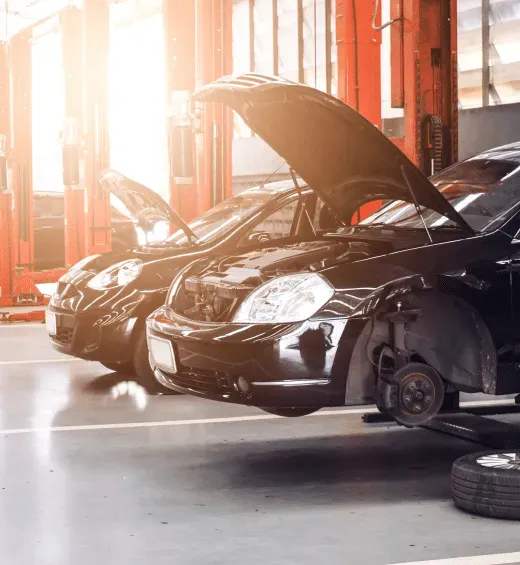 Cars in a mechanic shop, hoods open, being worked on. Sunlight shines on them.